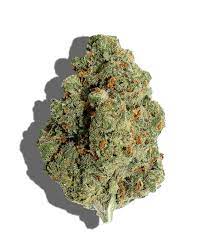 Jack Herer